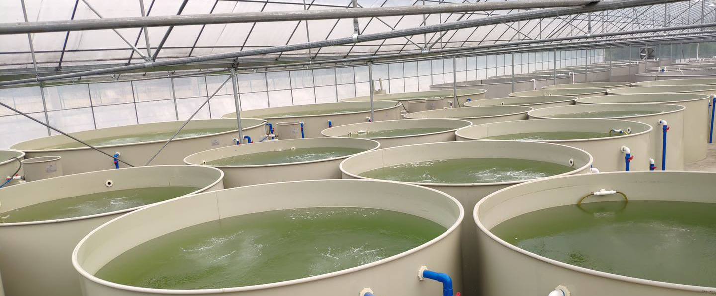 水產(chǎn)養(yǎng)殖水處理設備-全自動溶氧精濾機